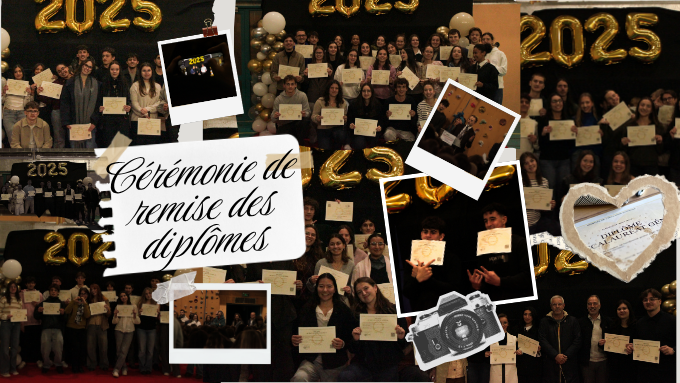 Articles ENT (3).png