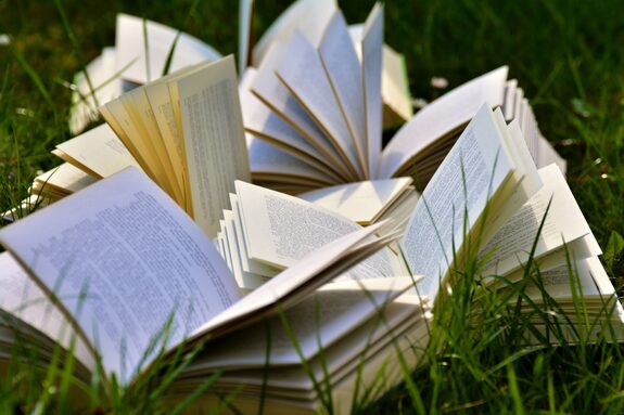 Photo livres.jpg