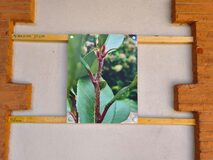 Galerie photo 